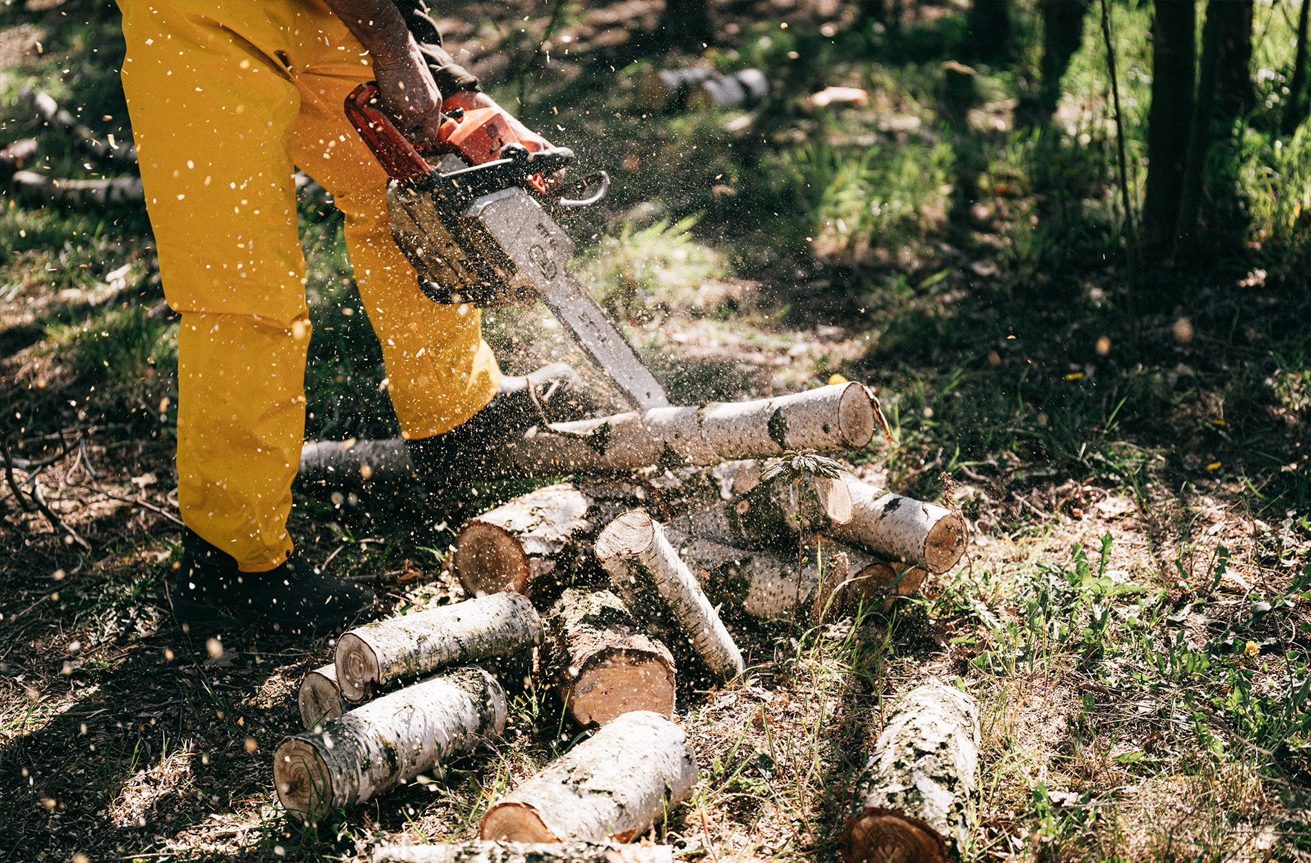 Premier Tree Service Inc
